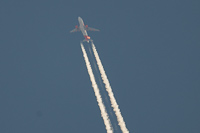 OE-LQM